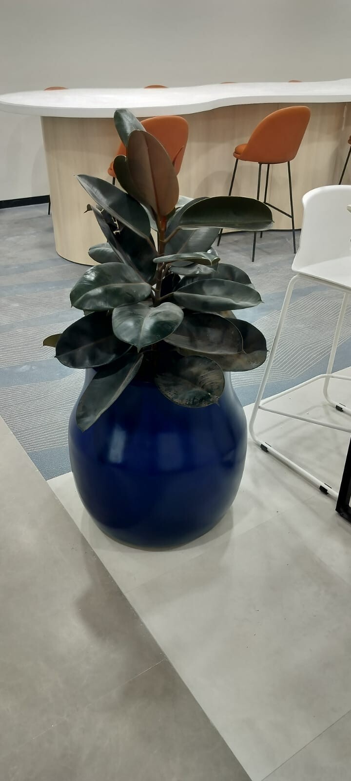 Landscaping project photo 12