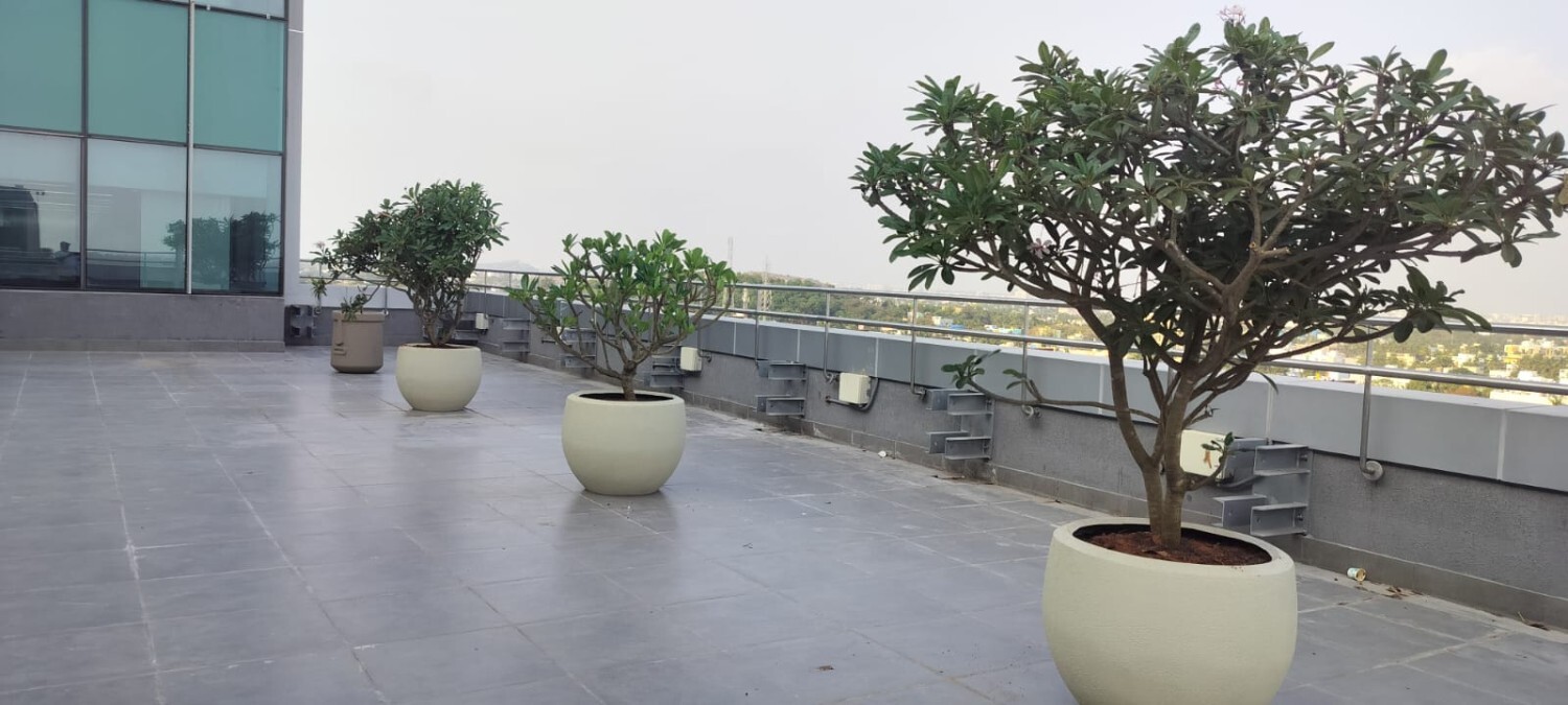 Landscaping project photo 21