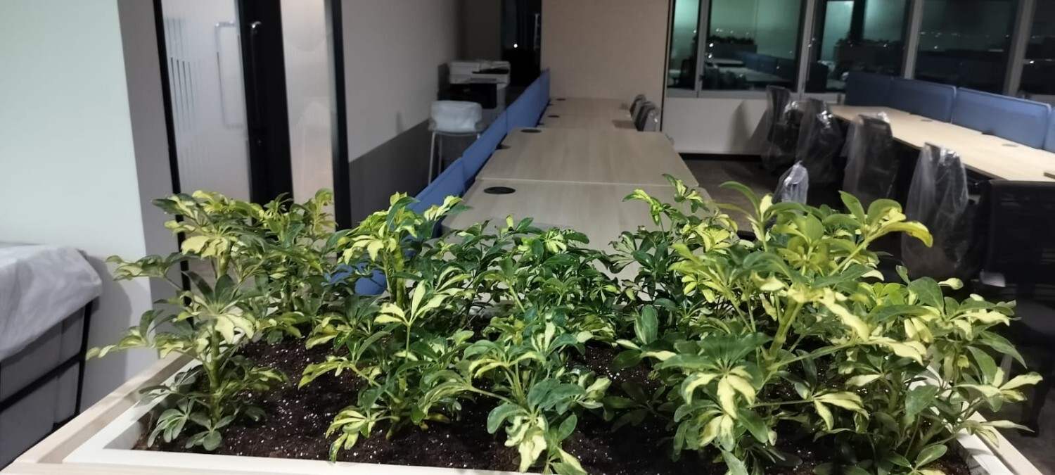 Landscaping project photo 26